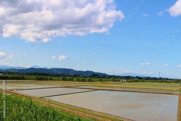 Obraz 田舎　のどか　青空　水田　風景　栃木