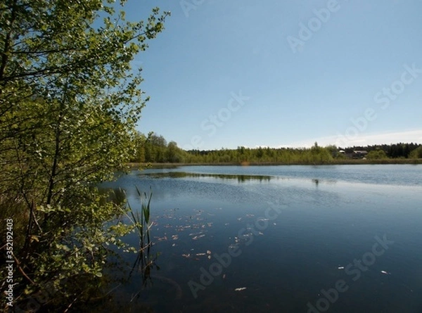 Fototapeta KODAK Digital Still Camera