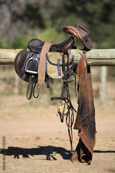 Fototapeta Riding tack