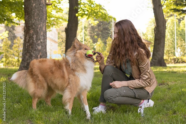 Fototapeta Woman plays with her dog collie in the park, playing with a dog in nature