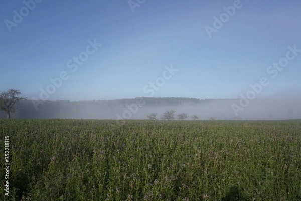 Fototapeta Winterliche Landschaft