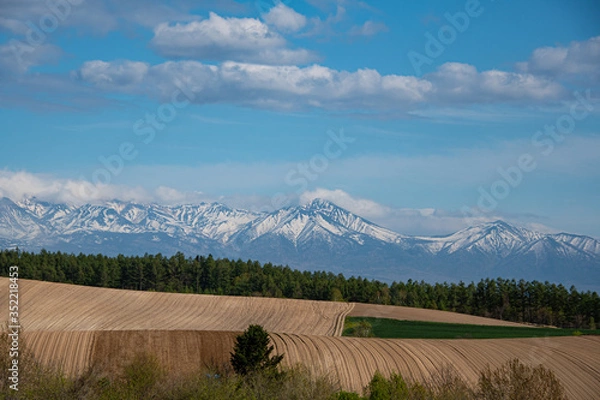 Fototapeta 美しの丘