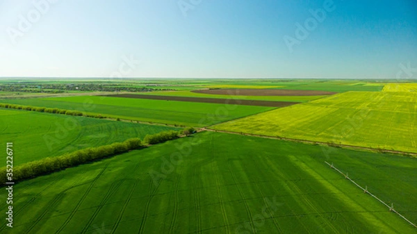 Fototapeta Agriculture aerial view green and yellow fields from above aerial view
