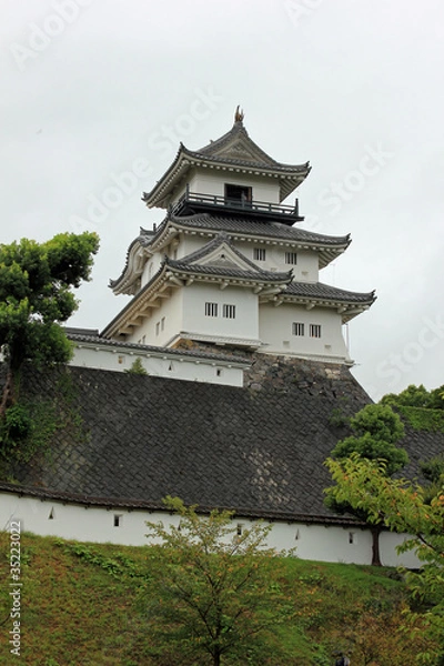 Fototapeta 掛川城