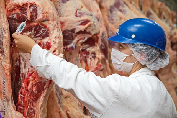 Fototapeta Brazil's largest processed meat exporters