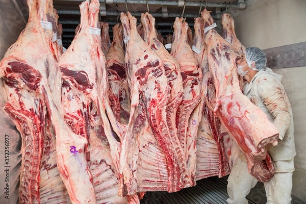 Fototapeta Brazil's largest processed meat exporters