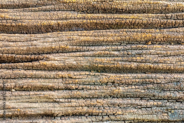 Fototapeta Old wooden texture background or abstract background, Pattern nature