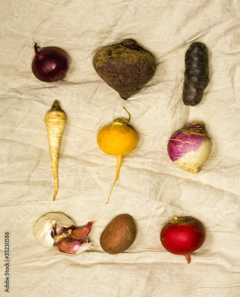 Obraz Wurzelgemüse