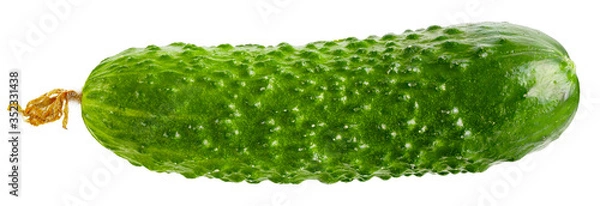 Obraz Cucumber isolated on white
