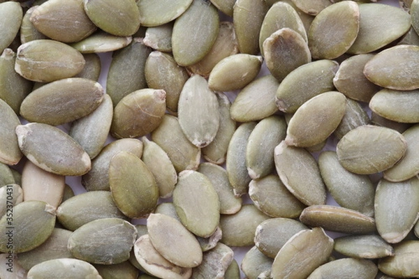 Fototapeta かぼちゃの種