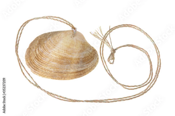 Fototapeta Seashell Pendant