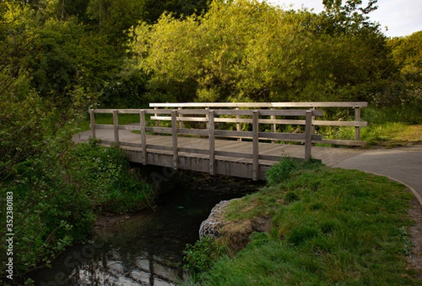 Obraz Bridge over river in a park
