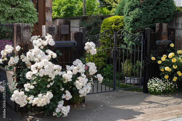 Obraz 薔薇と玄関