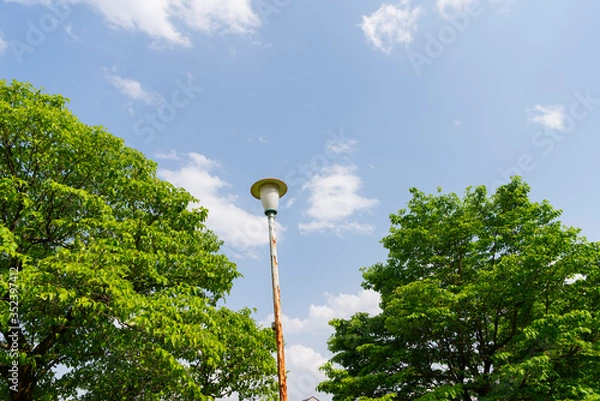 Obraz 街灯と青空