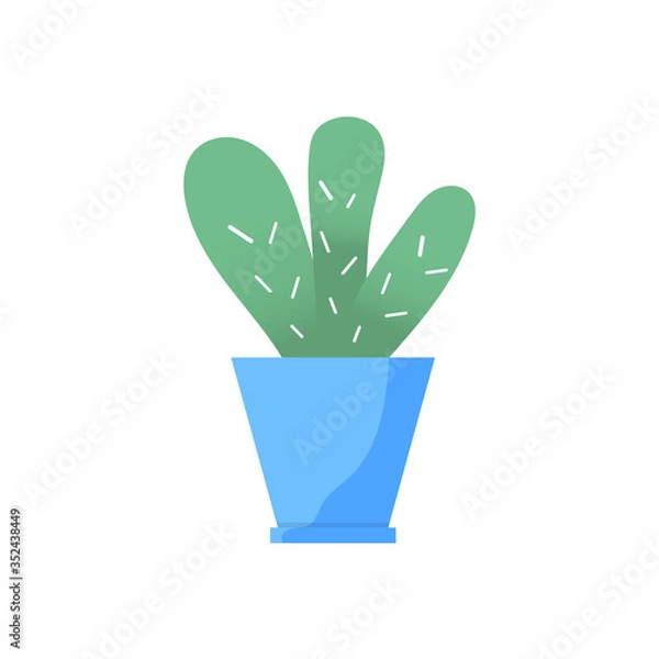 Obraz Home garden. colored flower botanical, bright flowerpot.  house plant with leaves, succulent cactus. Isolated element on white background. Flat Vector Illustration