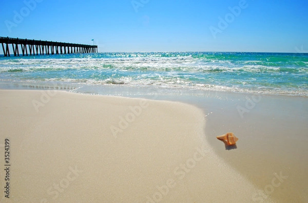 Fototapeta seashell by pier