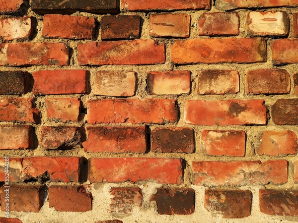 Obraz brick wall in warm evening sunlight
