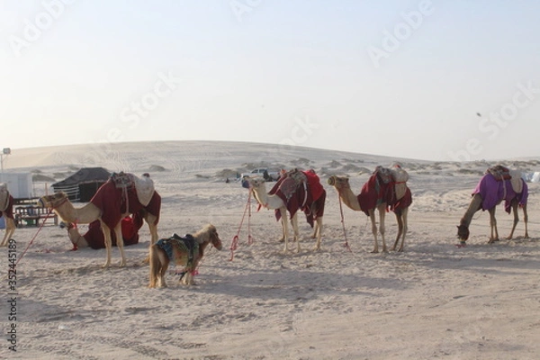 Obraz mesaeed, qatar