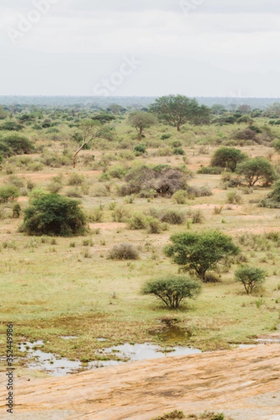 Obraz Afrikanische Savanne