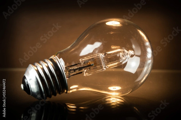 Obraz Halogen bulb is lying.