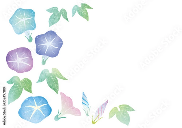 Obraz 朝顔のベクターイラスト（水彩）