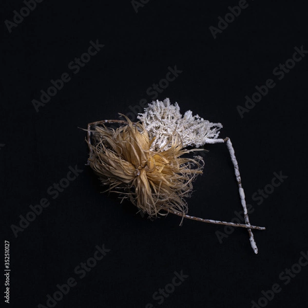 Obraz Sea creature on black background