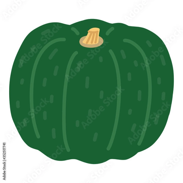 Fototapeta カボチャ　かぼちゃ　南瓜　野菜