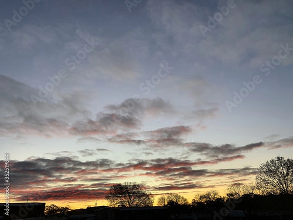 Obraz sunset over the field
