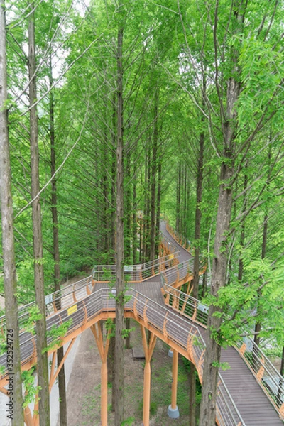 Fototapeta 자연 휴림의 쉼터