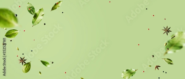 Fototapeta Creative mockup with flying various types of spices Bay leaf, red chili pepper, anise on green background with copy space. Long food banner with copy space.
