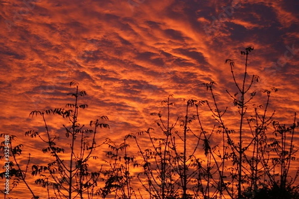 Obraz soleil couchant