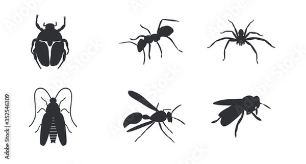 Obraz Insects icons. Black color. Vector. Flat design. White background. Isolated. Wasp, spider, bee, beetle, ant and cockroach icons. Vector stock illustration.