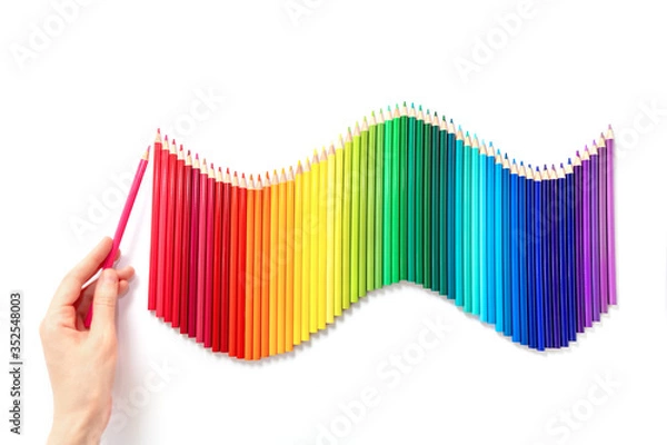 Fototapeta Rainbow wave of multicolored pencils isolated on white background. Female hand holds a wood red pencil. Back to school or drawing training concept.