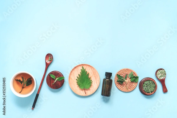 Fototapeta Fresh young spring leaves, dry nettle, salt with herbs in wood spoon,bottle with oil on pastel blue background. Apothecary, healthy food or herbal cosmetics concept. Flat lay, copy space
