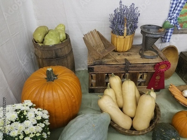 Obraz pumpkins and gourds