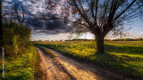Fototapeta Polna droga 
