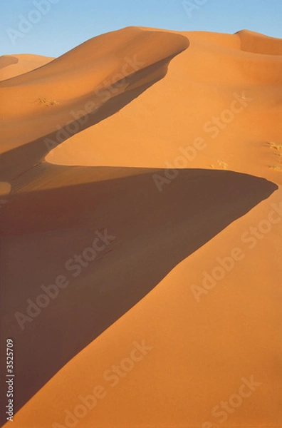 Fototapeta dunes 34f