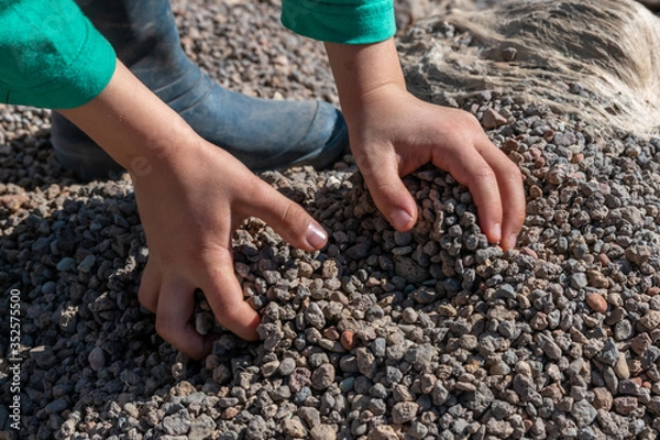 Fototapeta Child holding small colorful stones in little hands. Concept of game money, valuable resource