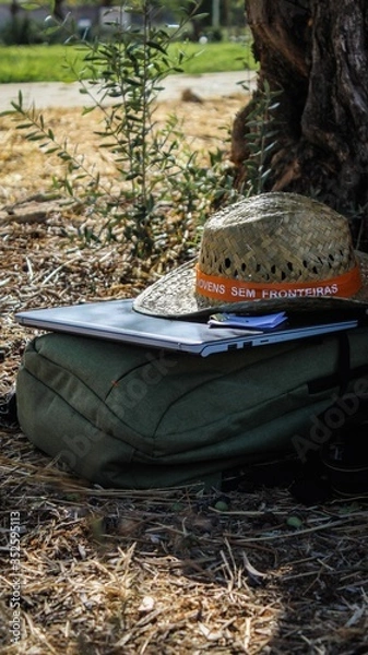 Obraz Objetos encostados a uma árvore