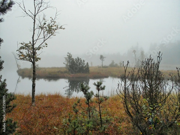 Fototapeta Moorland with a small lake in early fog