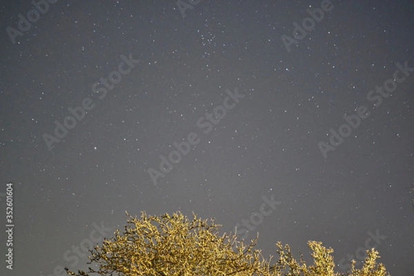 Obraz Star in the night