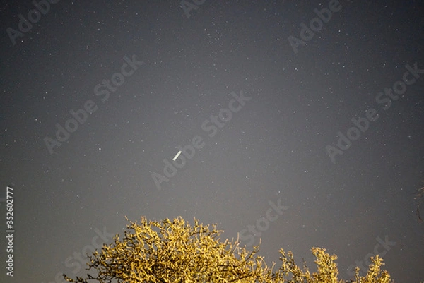 Obraz Star in the night