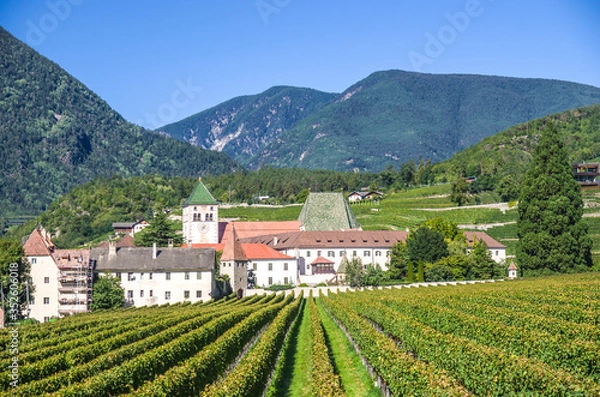 Obraz splendid vineyards of the abbey of novacella with ancient alpine monastery, producer of delicious wines