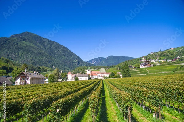 Obraz splendid vineyards of the abbey of novacella with ancient alpine monastery, producer of delicious wines