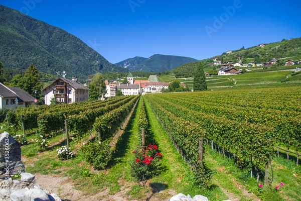 Obraz splendid vineyards of the abbey of novacella with ancient alpine monastery, producer of delicious wines