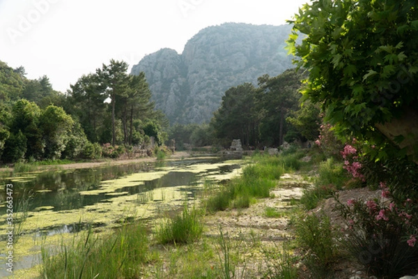 Obraz pond in the park