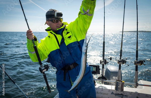 Obraz Garfish from boat under trolling trip
