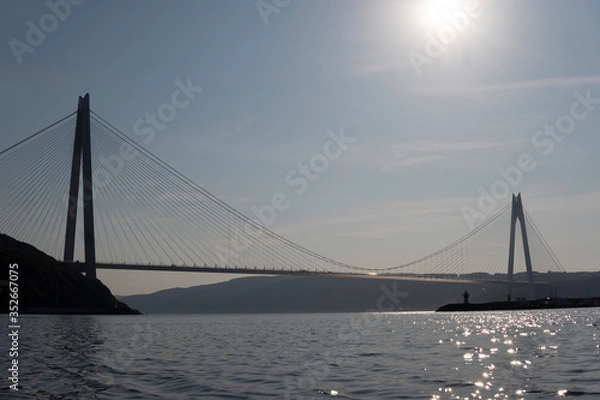 Obraz yavuz sultan selim