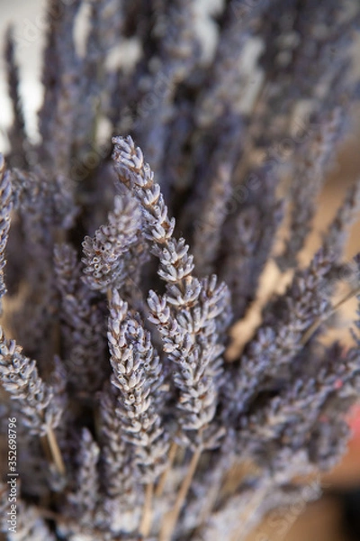 Obraz Working from home