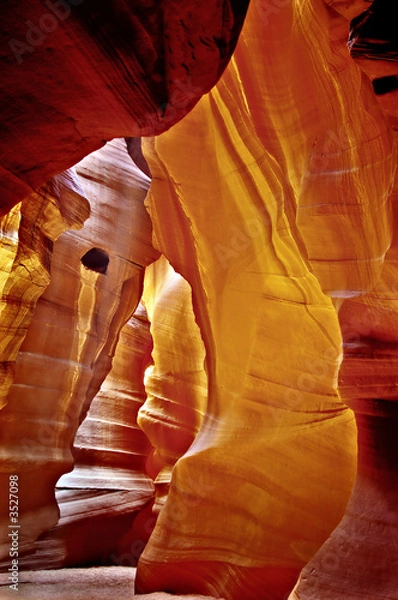 Obraz długa ścieżka